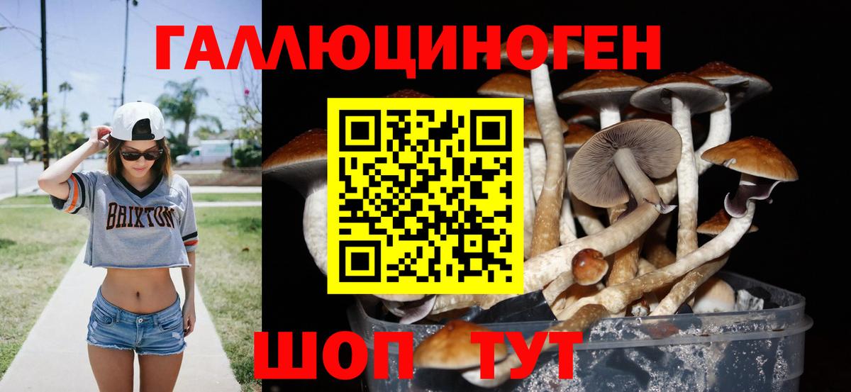 Урус-Мартан  Псилоцибиновые грибы ЛСД  хочу   Вход с VPN 