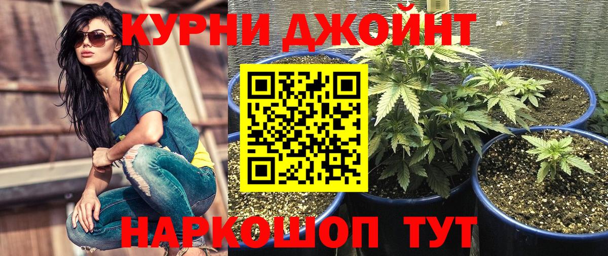 Каннабис AK-47  МАРИХУАНА марихуана  Вход с VPN  Урус-Мартан 